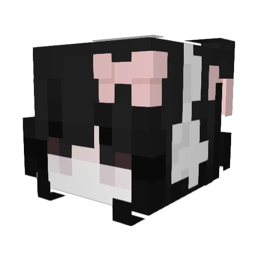 wokjr Minecraft avatar head, 3D render