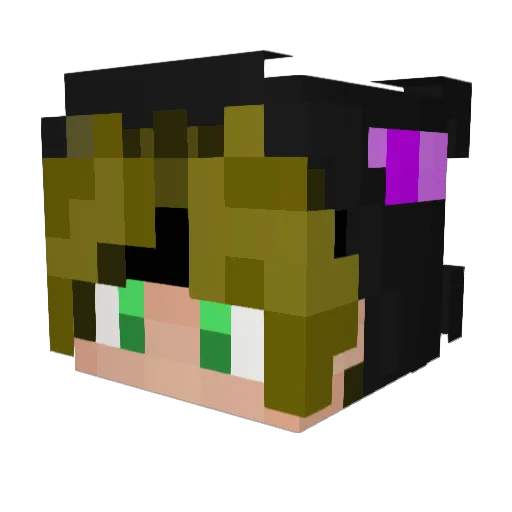 wolF5555512 Minecraft avatar head, 3D render