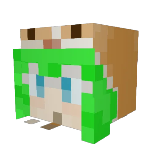 wolecard Minecraft avatar head, 3D render