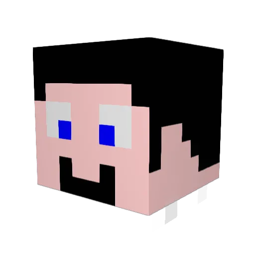 wolf0232 Minecraft avatar head, 3D render