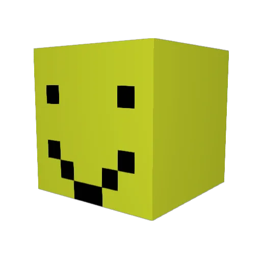 wolf1200 Minecraft avatar head, 3D render