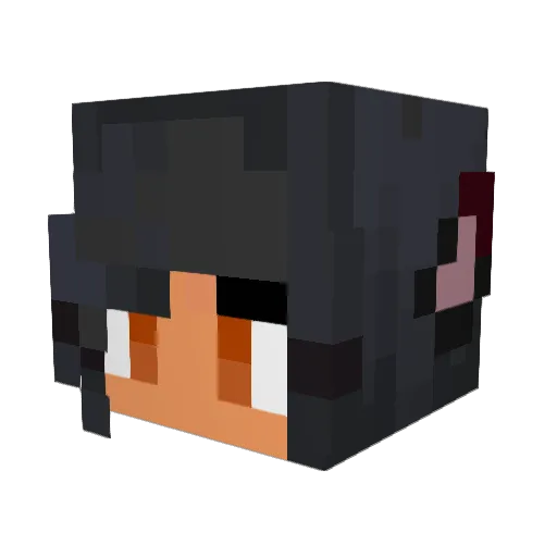 wolf25 Minecraft avatar head, 3D render