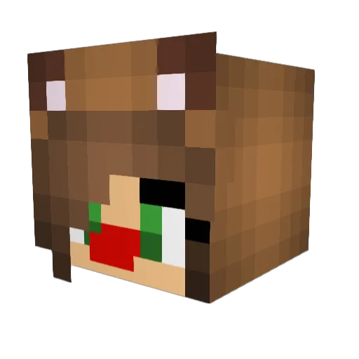 wolf44740 Minecraft avatar head, 3D render