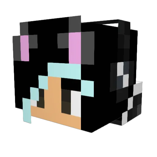 wolf75401 Minecraft avatar head, 3D render