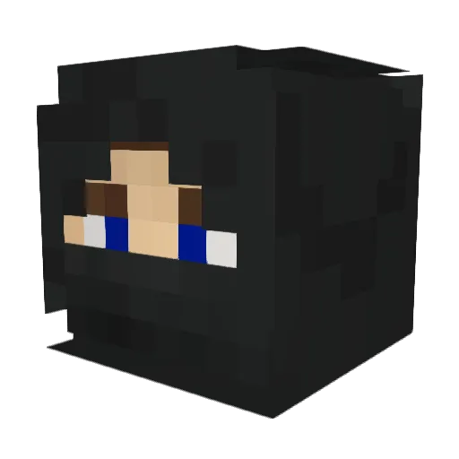 wolf8265 Minecraft avatar head, 3D render