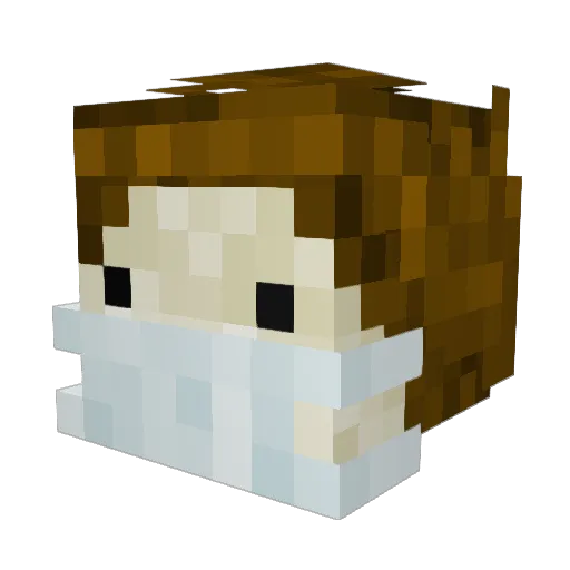 wolf_master_7 Minecraft avatar head, 3D render