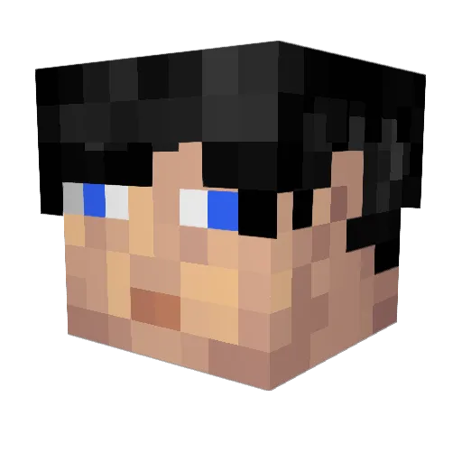 wolfbearwombat Minecraft avatar head, 3D render