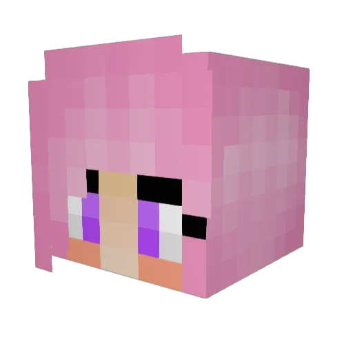 wolfbike2000 Minecraft avatar head, 3D render