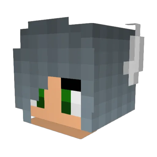 wolfcake13 Minecraft avatar head, 3D render