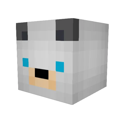 wolfcaller908 Minecraft avatar head, 3D render