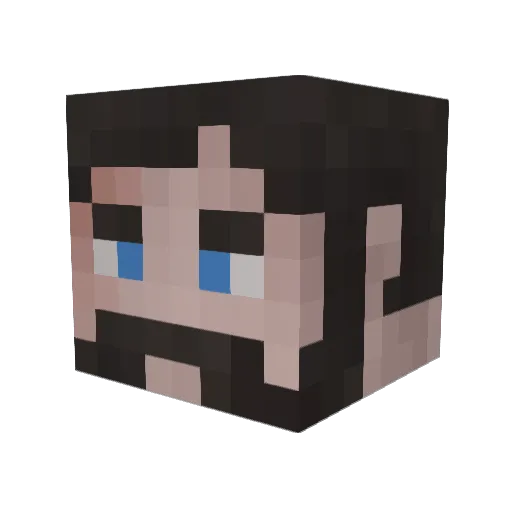 wolfe07 Minecraft avatar head, 3D render