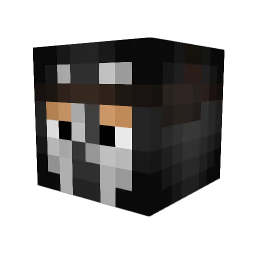 wolfg115 Minecraft avatar head, 3D render