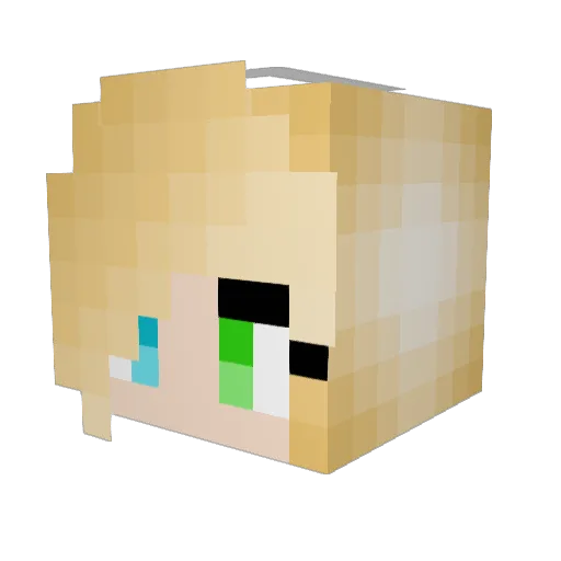 wolfgirl359 Minecraft avatar head, 3D render