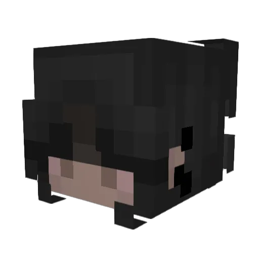 wolfgirl_woes Minecraft avatar head, 3D render