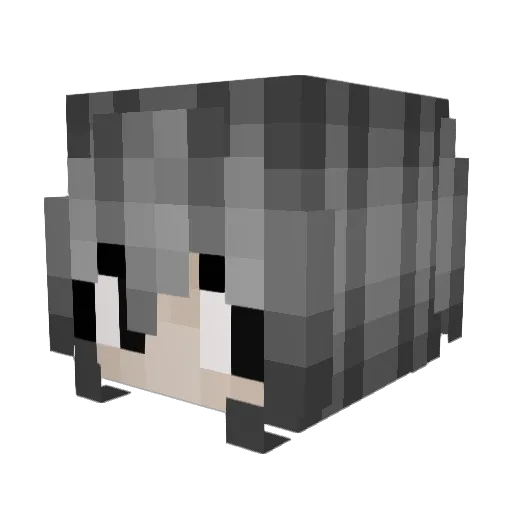 wolfgwrl Minecraft avatar head, 3D render