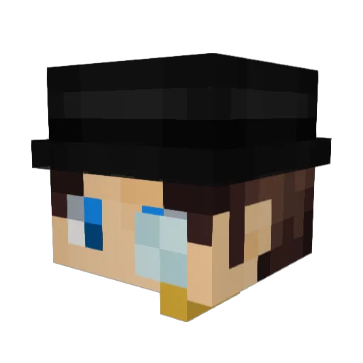 wolfi0956 Minecraft avatar head, 3D render
