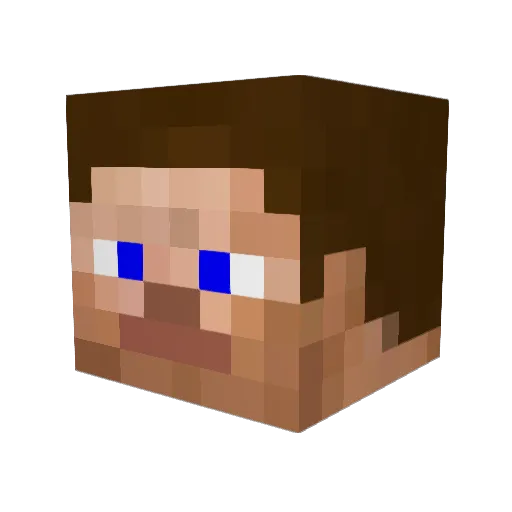 wolfi42 Minecraft avatar head, 3D render