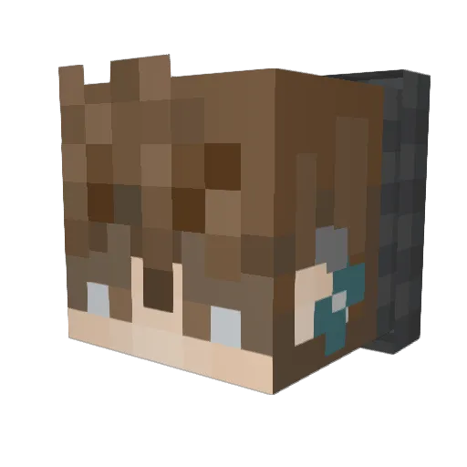 wolfie_160 Minecraft avatar head, 3D render