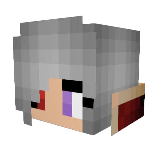 wolfievals Minecraft avatar head, 3D render