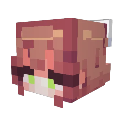 wolflamuffins22 Minecraft avatar head, 3D render