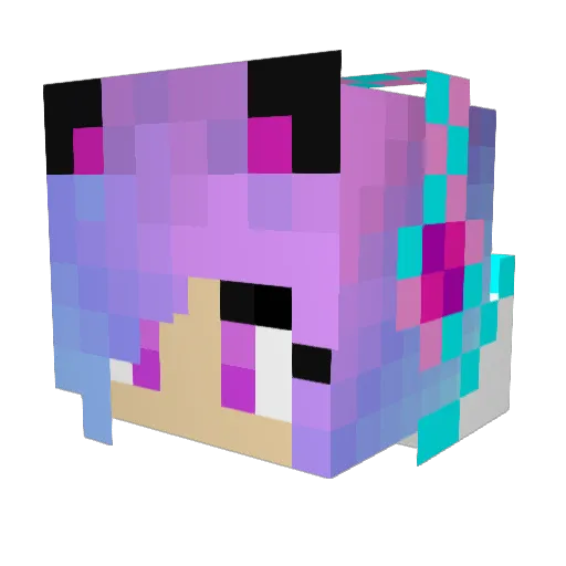 wolflover421 Minecraft avatar head, 3D render