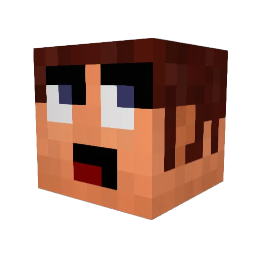wolfmanjr0405 Minecraft avatar head, 3D render