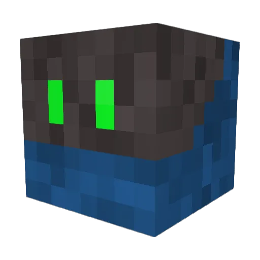 wolfpack2418 Minecraft avatar head, 3D render
