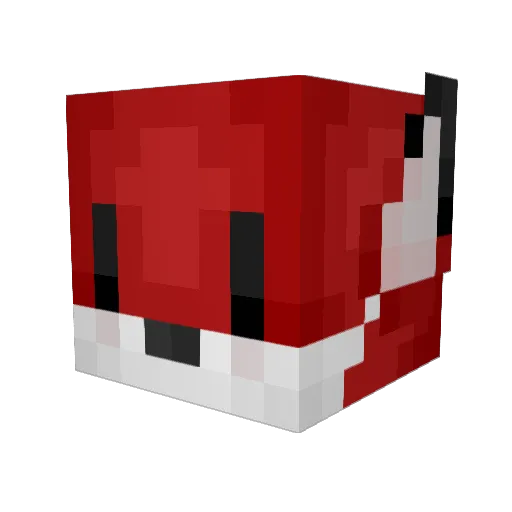 wolfpack57 Minecraft avatar head, 3D render