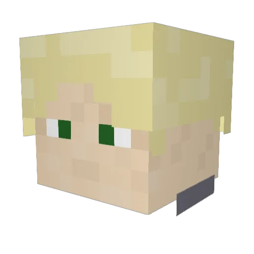 wolfpack9110 Minecraft avatar head, 3D render