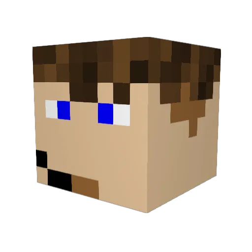 wolfrider3000 Minecraft avatar head, 3D render