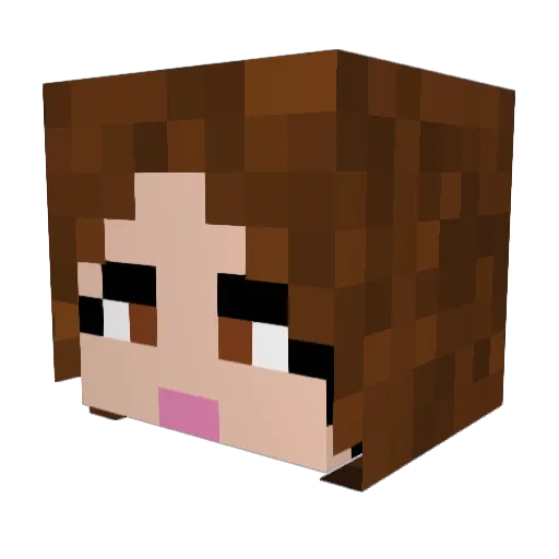 wolfspy15 Minecraft avatar head, 3D render