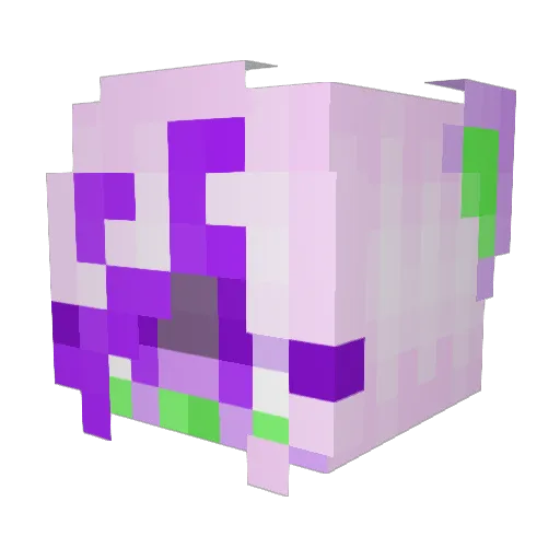 wolftexting Minecraft avatar head, 3D render