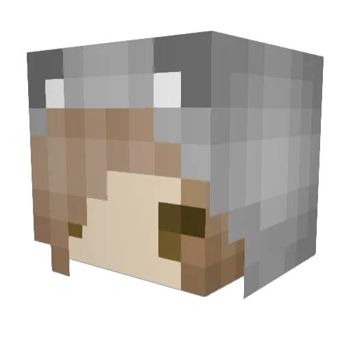 wolfwhisperer99 Minecraft avatar head, 3D render