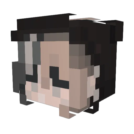 wolfy119 Minecraft avatar head, 3D render