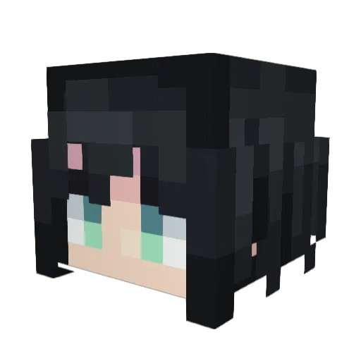 wolfy2224 Minecraft avatar head, 3D render