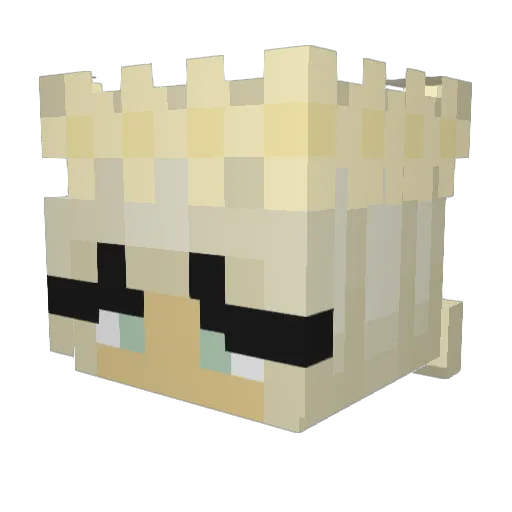 wolfy55555 Minecraft avatar head, 3D render