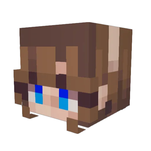 wolfyplayz12 Minecraft avatar head, 3D render