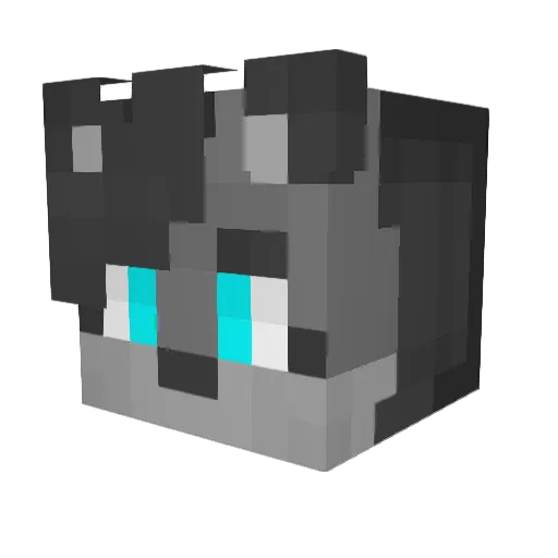 Minecraft-Avatar von wolfywoof268: Kopf als 3D-Render