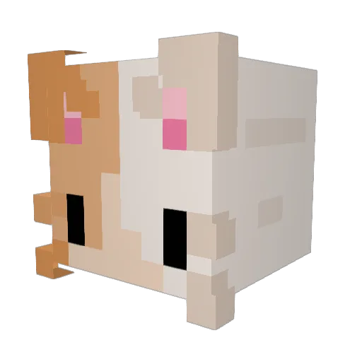wolfzombie101 Minecraft avatar head, 3D render