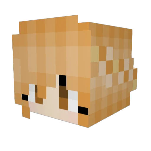 wolgi Minecraft avatar head, 3D render