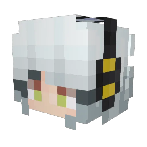 wolley_2010 Minecraft avatar head, 3D render