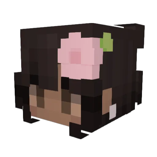 wolligwarm Minecraft avatar head, 3D render