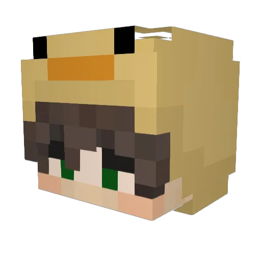 wollycraft2 Minecraft avatar head, 3D render