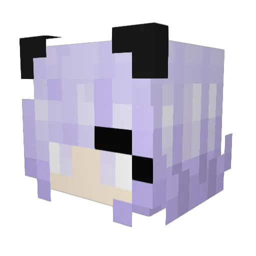 wolpe12 Minecraft avatar head, 3D render