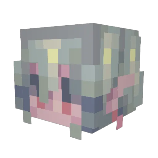 wolphe Minecraft avatar head, 3D render