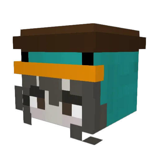 woltira2005 Minecraft avatar head, 3D render