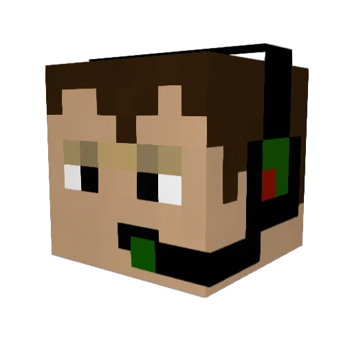 wombat801 Minecraft avatar head, 3D render