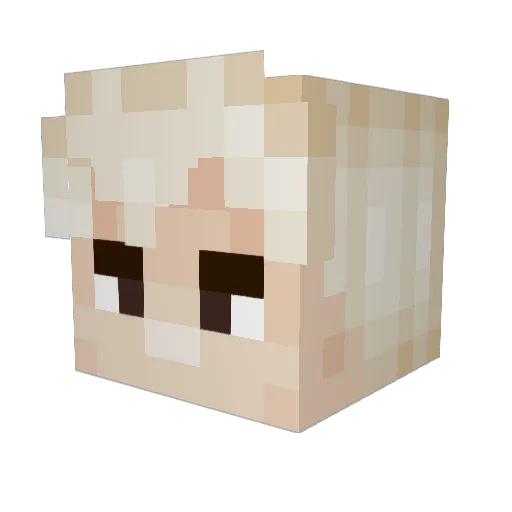 wombowoah Minecraft avatar head, 3D render