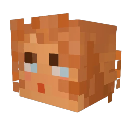 womensmoocher Minecraft avatar head, 3D render