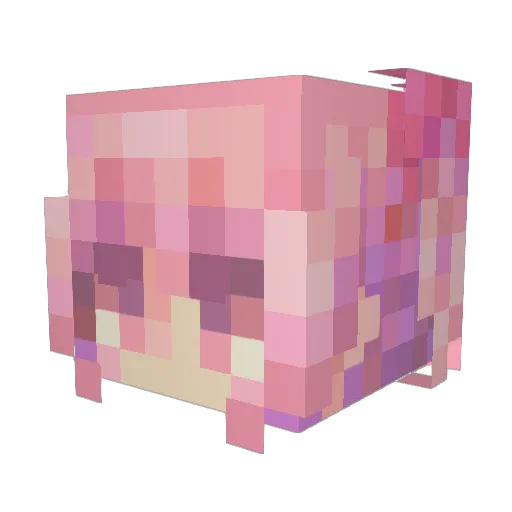 wommki Minecraft avatar head, 3D render